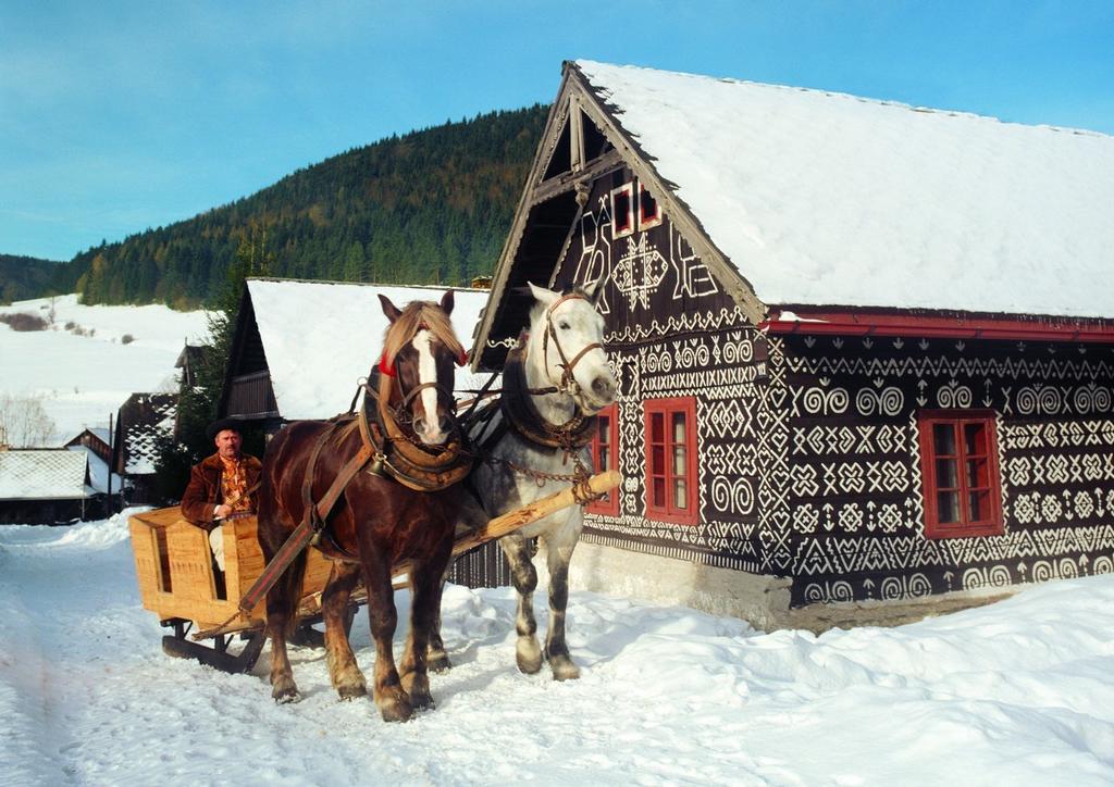 Penzion Javorina Чичмани Экстерьер фото